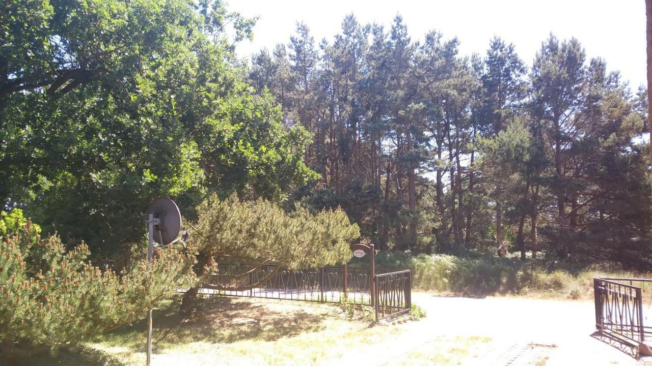 Appartement Urlaub Bei Hauenstein à Born Extérieur photo