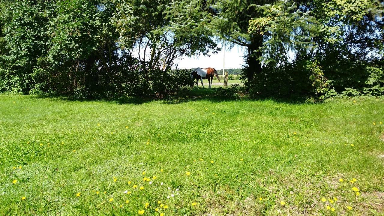 Appartement Urlaub Bei Hauenstein à Born Extérieur photo